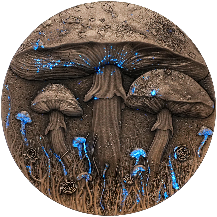 2025 Cameroon Magic Mushroom - 2oz .999 High Relief Silver Coin - 2000 Francs