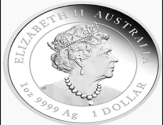 Lucky Coin - Dog and baby Coin Colored Engraved