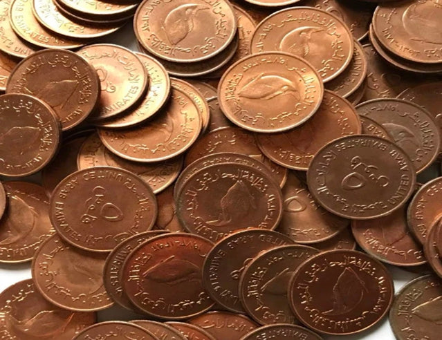 VAE Vereinigte Arabische Emirate 5 Fils FAO 1973-1989 Fisch 22 mm Bronzemünze Schöne Münze UNC