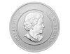 2011 Canadian $20  Canoe Fine Silver Commemorative Coin