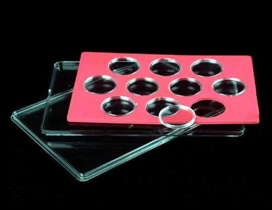 Coin Display High Quality Gift Box Red with 10 Pcs  Capsules for Coins Collection