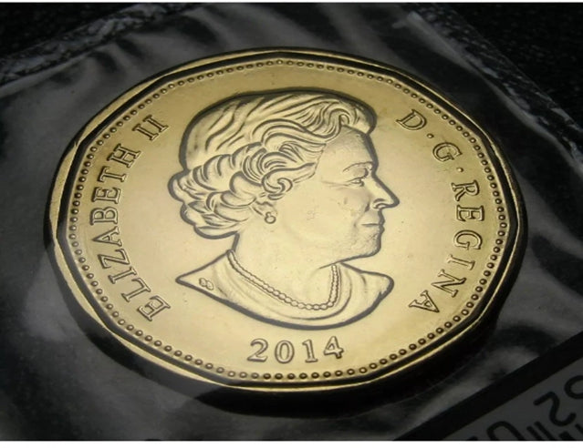 Error Canada 2014 1 Lucky Loonie BU Original Mint Sealed - Die Chip on A Error