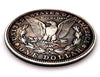 Hobo Coin -Lion family in Protective Plastic Capsule Copper Engraved